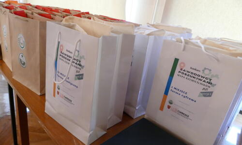 Gala konkursu Zawodowcy poszukiwani Mapa rzemieslnikow nagrody dla zwyciezcow (2)