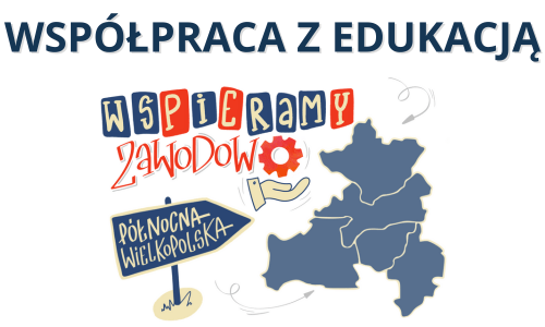 Współpraca z edukacją - oferta na rok szkolny 2024/2025