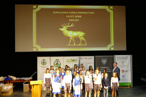 Galeria zdjęć z Gali konkursu Zawodowcy Poszukiwani 2022 - 08.04.2022  - Centrum Wsparcia Rzemiosła, <br />Kształcenia Dualnego i Zawodowego w Pile