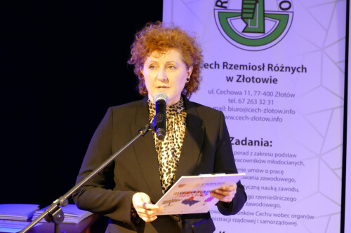 Galeria zdjęć z Gali konkursu Zawodowcy Poszukiwani 2022 - 08.04.2022  - Centrum Wsparcia Rzemiosła, <br />Kształcenia Dualnego i Zawodowego w Pile