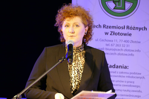 Galeria zdjęć z Gali konkursu Zawodowcy Poszukiwani 2022 - 08.04.2022  - Centrum Wsparcia Rzemiosła, <br />Kształcenia Dualnego i Zawodowego w Pile