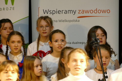 Galeria zdjęć z Gali konkursu Zawodowcy Poszukiwani 2022 - 08.04.2022  - Centrum Wsparcia Rzemiosła, <br />Kształcenia Dualnego i Zawodowego w Pile