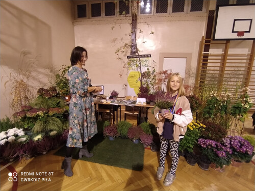 Galeria zdjęć Noc Zawodowców 2022 - Centrum Wsparcia Rzemiosła, <br />Kształcenia Dualnego i Zawodowego w Pile