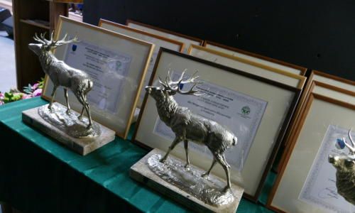 galaZlotyHerb_04032020-1_Easy-Resize.com_