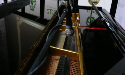 galaZlotyHerb_04032020-3_Easy-Resize.com_